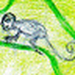 Profile Picture of Joel Santos Trujillo G?mez (@SEDUCTOLOG?A) on Flickr