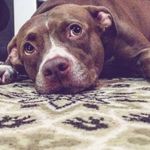 Profile Picture of Athena Nunes (@athenanuneess) on Instagram