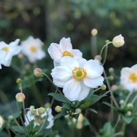 Profile Picture of Kevin Burden (@kevin-burden-16) on Quora