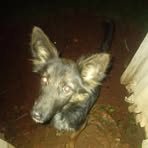 Profile Picture of Peter Neteo (@peter.neteo.9) on Facebook