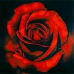 Profile Picture of Oscar Barriales (@oscar_luis_barriales) on Instagram