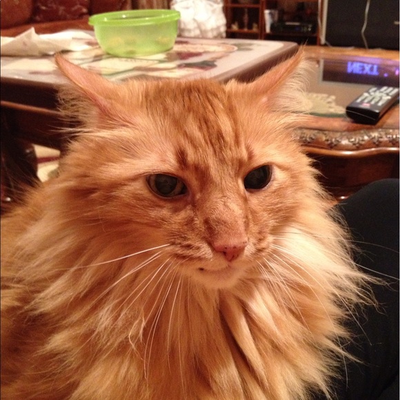 Profile Picture of Olga Fridman (@olga7576) on Poshmark