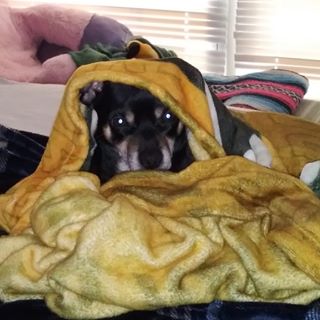 Profile Picture of Robert Benson (@robert.benson.3344) on Facebook