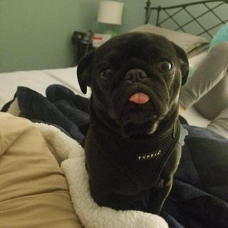 Profile Picture of Robin Evanicki Garrett (@robin.evanickigarrett) on Facebook