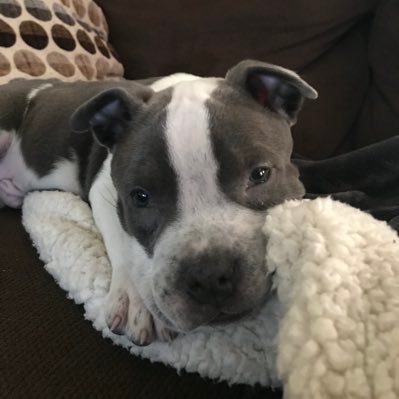 Jess Hurt - Twitter Profile Picture of Jess Hurt (@jesshurt) on Twitter