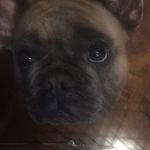 Profile Picture of Ryan Ramsay (@callie_ramsay_) on Instagram