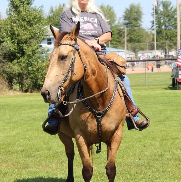 Profile Picture of Dottie Powers (@dotshorses) on Poshmark