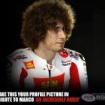 Profile Picture of Steve Glover (@monstermoto2013) on Instagram