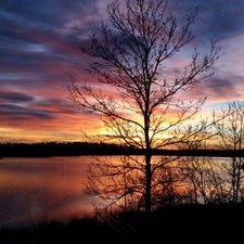 Profile Picture of Connie Olson (@conniecharlie48) on Twitter