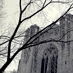 Profile Picture of Kyle Davis (@kyleadavis94) on Flickr