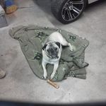 Brian Wilson - Instagram Profile Picture of Brian Wilson (@brian.wison.967) on Instagram