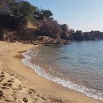 Profile Picture of Cathy Picardat (@cathypicardat) on Instagram