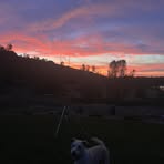 Profile Picture of Tristan Pearson (@tristan.pearson.847355) on Facebook