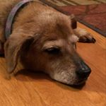 LaKisha Bryant Bruce - Instagram Profile Picture of LaKisha Bryant Bruce (@mrslb2) on Instagram