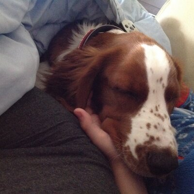 Profile Picture of Joanne Hepburn (@hepburn_joanne) on Twitter