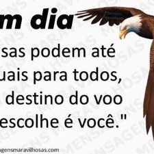 Profile Picture of Geraldo Luís Andrade Sanches (@sanches_geraldo) on Twitter