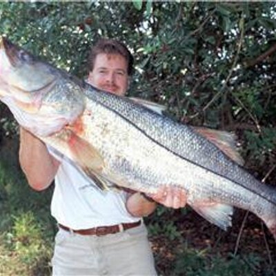 Profile Picture of Capt. Dave Pomerleau (@TheMadSnooker) on Twitter