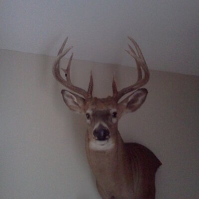 Profile Picture of Brad Roberts (@weston318) on Twitter