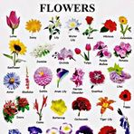 Profile Picture of Wàfula Brayo (@Wàfula-Brayo) on Facebook