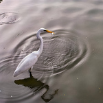 Profile Picture of Richard Lee530 (@richard lee530) on Flickr