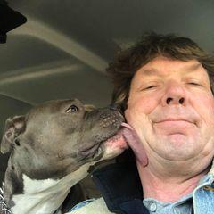 Profile Picture of marktarr (@marktarr) on Tiktok