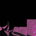 Profile Picture of José Graciete (@jose.graciete.2025) on Facebook