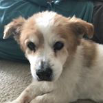 Profile Picture of Jeni Paul Smith (@jenismith28) on Instagram