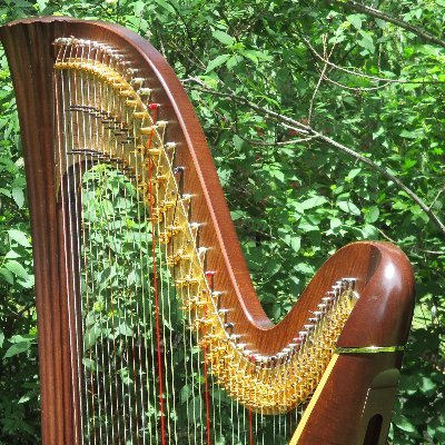 Profile Picture of Beth Anne's Brailling Harp (@touchingsounds) on Twitter