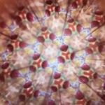 Profile Picture of Michael Pulizzi (@michaelpulizzi) on Instagram