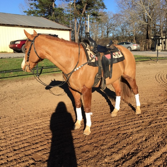 Mandy Powers - Poshmark Profile Picture of Mandy Powers (@powersmandy56) on Poshmark