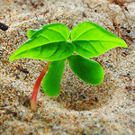 Profile Picture of Chris Cryer (@chris cryer) on Flickr