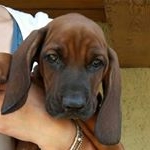 Profile Picture of Lorenzo Maiolani (@lorenzomaiolani) on Instagram