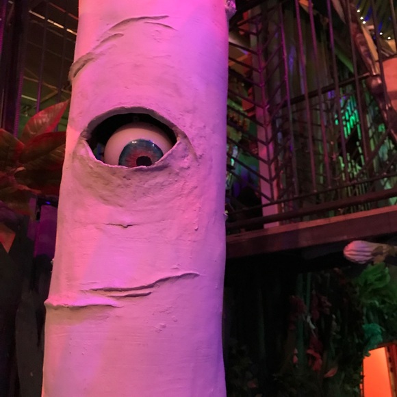 Profile Picture of Aja Raden (@asraden) on Poshmark