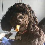 Profile Picture of Chris Heron (@c.j.heron) on Flickr