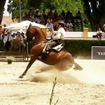 Amador Martín - Instagram Profile Picture of Amador Martín (@amadormartindiano) on Instagram