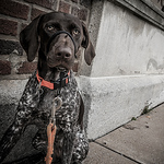 Profile Picture of Kenneth Cahill (@kenneth.cahill171) on Flickr