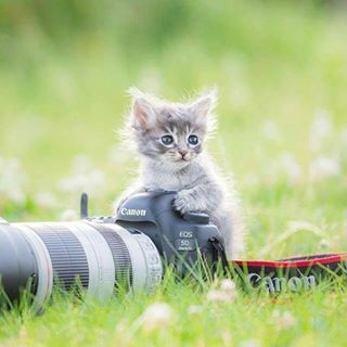 Profile Picture of Edwin Mathew (@edwin.mathew.357284) on Facebook