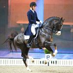 Profile Picture of SLR Equine Photography (@simonreesphotography) on Instagram