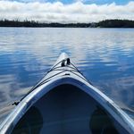 Profile Picture of Janet Rideout (@jrideout6764) on Instagram