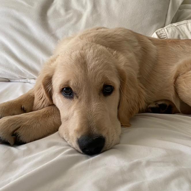 Dani Taylor - Tiktok Profile Picture of Dani Taylor (@@foundthefloof) on Tiktok