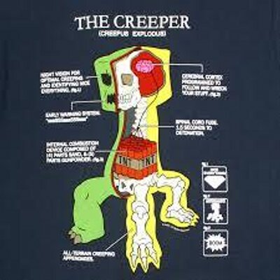 Profile Picture of Terry Starrett (@TerryStarrett) on Twitter