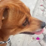 Chaparrin Lara - Facebook Profile Picture of Chaparrin Lara (@chaparrin.lara.10) on Facebook