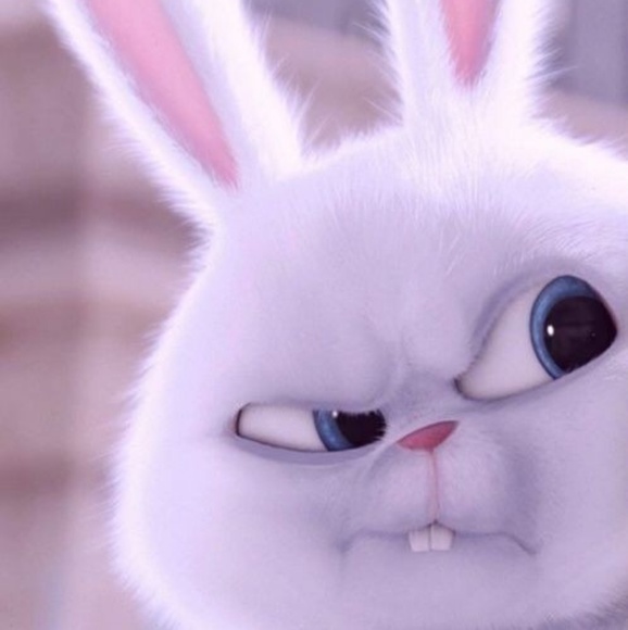 Profile Picture of Dina Faycurry (@dinafaycurry) on Poshmark