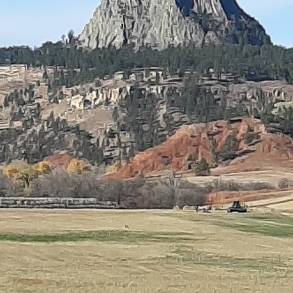 Profile Picture of Scott Tyree (@scotttyree) on Poshmark