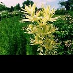 Profile Picture of carl_patterson2 (@carl_patterson2) on Instagram