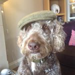 Profile Picture of Julian Todd (@thesnootyf0x) on Instagram