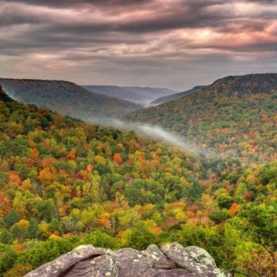 Profile Picture of Melcon80 (@melanieconover2) on Twitter