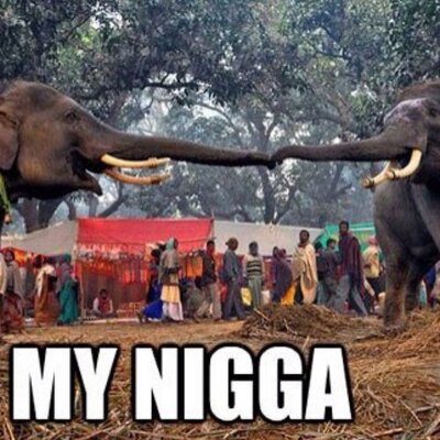 Profile Picture of Colin James Bigelow (@BamColin) on Twitter