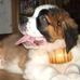 Profile Picture of Bernard Keiser (@bernard.keiser.3) on Facebook