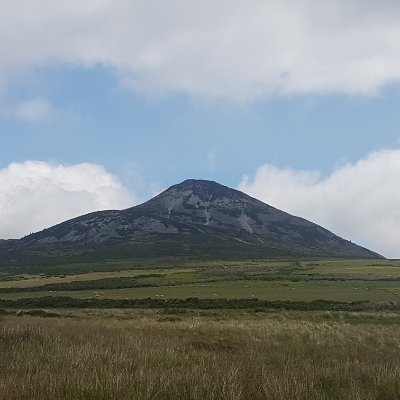 Profile Picture of Sandra Devlin (@SandraD04604532) on Twitter